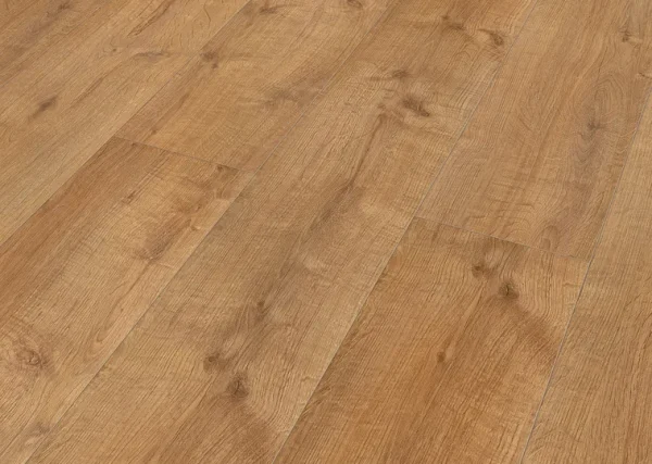 Eiken XXL