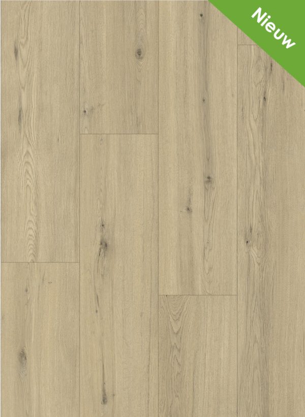 Momento 80641 Chur Oak