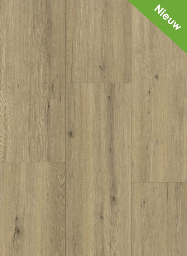Maestro 80651 Tamins Oak