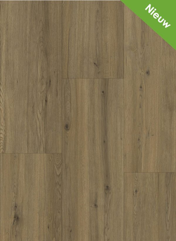 Maestro 80661 Realp oak
