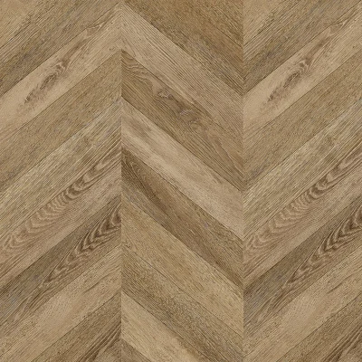 Modern warm