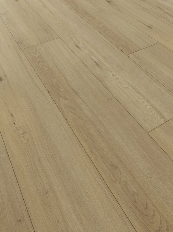 XXL licht natuur 