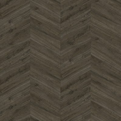 Oakland Special Dryback 3706 Soil