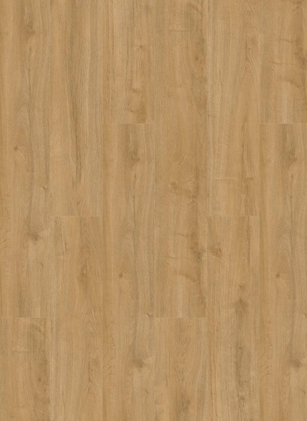 Oakland Dryback 6101 Natural