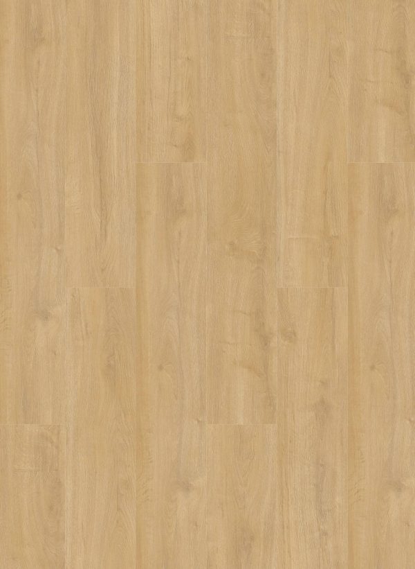 Oakland Dryback 6102 Desert