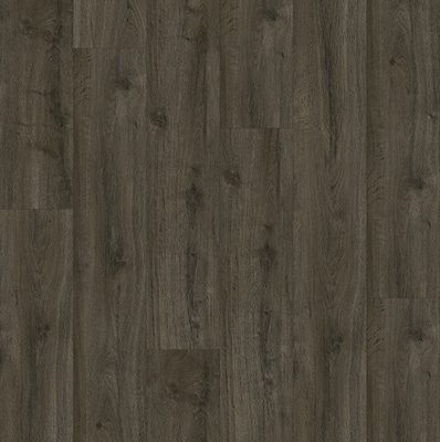 Oakland Dryback 6106 Soil