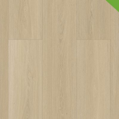 Gelasta Highland - Highland Dryback 2502 Desert