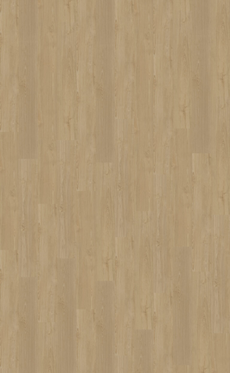 Portico 560 | Rigid Click