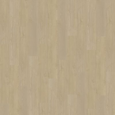 Portico 570 | Rigid Click